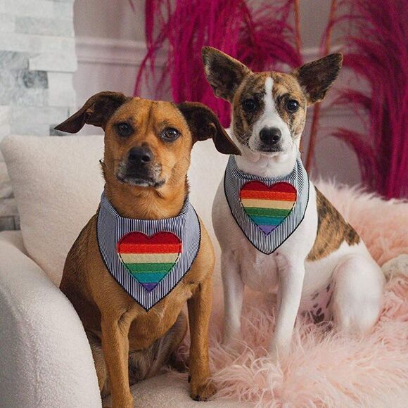 Tail Trends Rainbow Heart Scoop Neck Bandana - Picture 2 of 8